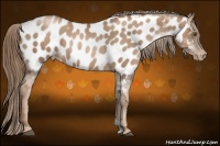 Horse Color:Liver Red Roan Pearl Appaloosa
