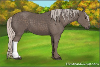 Horse Color:Silver Black 