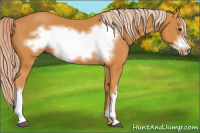 Horse Color:Chocolate Palomino Frame 