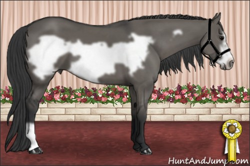 Horse Color: Grullo Frame 
