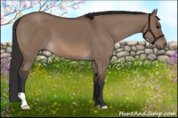 Horse Color:Brown Dun 
