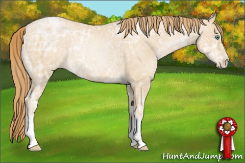 Horse Color: Smoky Black Ice Pearl Rabicano 