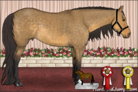 Horse Color:Buckskin Dun Rabicano