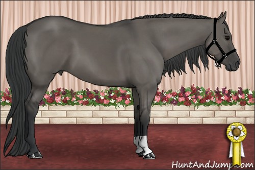 Horse Color: Grullo 
