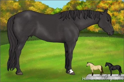 Horse Color: Smoky Black 