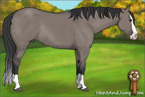 Horse Color: Grullo Splash Rabicano 