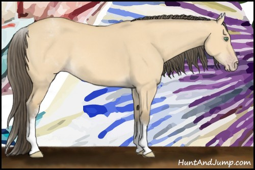 Horse Color: White Spotted Amber Cream Champagne Dun 