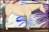 Horse Color:White Spotted Amber Cream Champagne Dun 