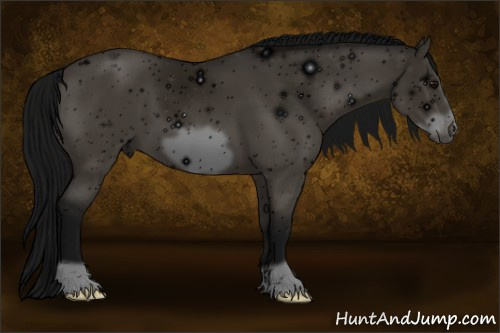 Horse Color: ERROR: UNKNOWN ANOMALY