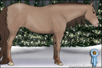 Horse Color:Classic Champagne Rabicano