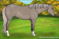 Horse Color:Silver Grullo 
