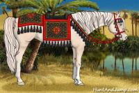 Horse Color:Gold Cream Champagne Pearl 