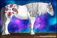 Horse Color:White Spotted Grullo 