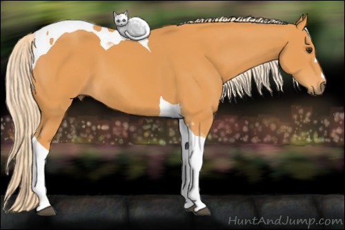 Horse Color: Chocolate Palomino Tobiano 