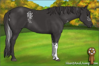 Horse Color:White Spotted Smoky Black