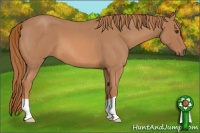 Horse Color:Red Roan 