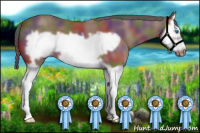 Horse Color:Nacre Bay Splash Frame 