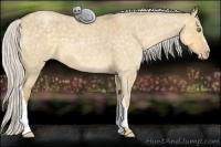 Horse Color:Silver Classic Cream Champagne Roan Dun 