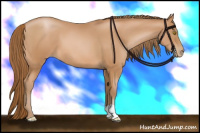 Horse Color:Bay Pearl 