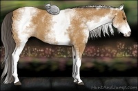 Horse Color:White Spotted Buckskin