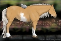 Horse Color:White Spotted Silver Buckskin 