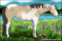 Horse Color:White Spotted Buckskin Dun Tobiano 