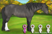 Horse Color:Brown Rabicano