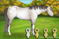 Horse Color:Gray Bay Dun Blanket 