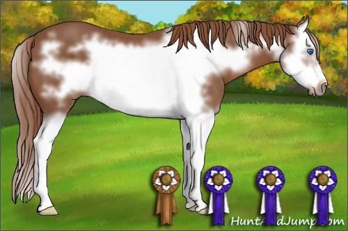 Horse Color: Chestnut Splash Frame 