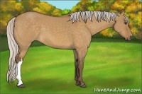 Horse Color:Silver Buckskin Dun