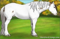 Horse Color:Classic Champagne Splash Tobiano 