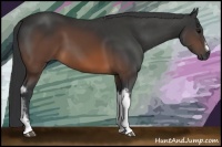 Horse Color:Brown Tobiano Frame 