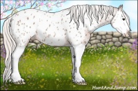 Horse Color:Silver Bay Roan Splash Near Leopard 