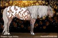 Horse Color:Silver Bay Ice Appaloosa 