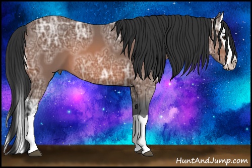 Horse Color: Bay Ice Splash 