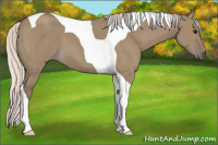 Horse Color:Silver Smoky Grullo Tobiano 