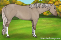 Horse Color:Silver Grullo