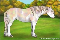 Horse Color:Nacre Gold Champagne Splash 
