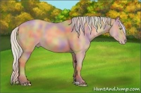 Horse Color:Nacre Silver Sable Champagne 