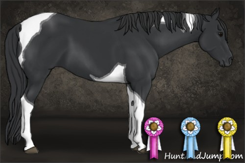 Horse Color: Black Tobiano 