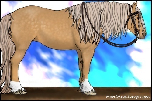 Horse Color: Palomino 