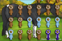 Horse Color:Brown Tobiano 