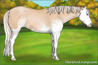 Horse Color:White Spotted Chocolate Palomino Pearl Splash
