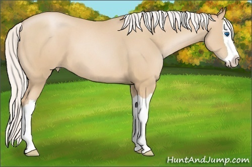 Horse Color: Silver Smoky Black Pearl Splash 