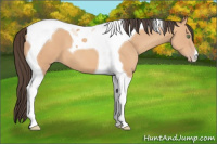 Horse Color:Amber Champagne Tobiano
