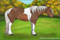 Horse Color:Silver Bay Tobiano 
