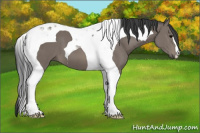 Horse Color:Black Tobiano 