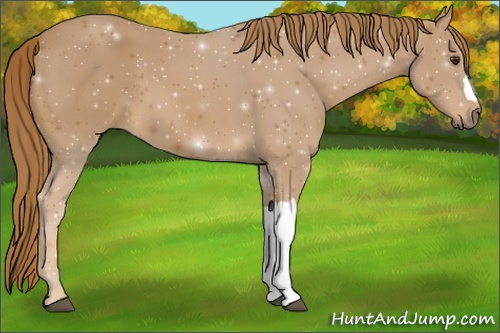 Horse Color: Chestnut 