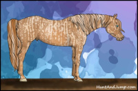 Horse Color:Palomino Pearl  Brindle