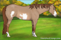 Horse Color:Liver Red Dun Frame 